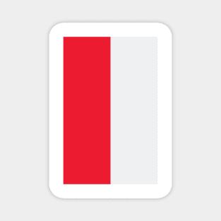 Arsenal Red and White Half Jersey Magnet