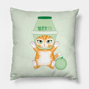 Melon Milk Cat Pillow