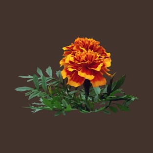 One Orange Marigold with Yellow Tips T-Shirt