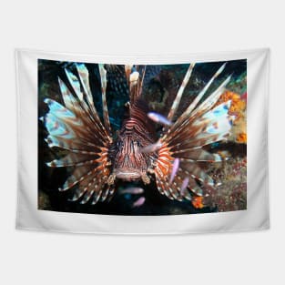 Caribbean Lion Fish guarding the Coral Reef Tapestry
