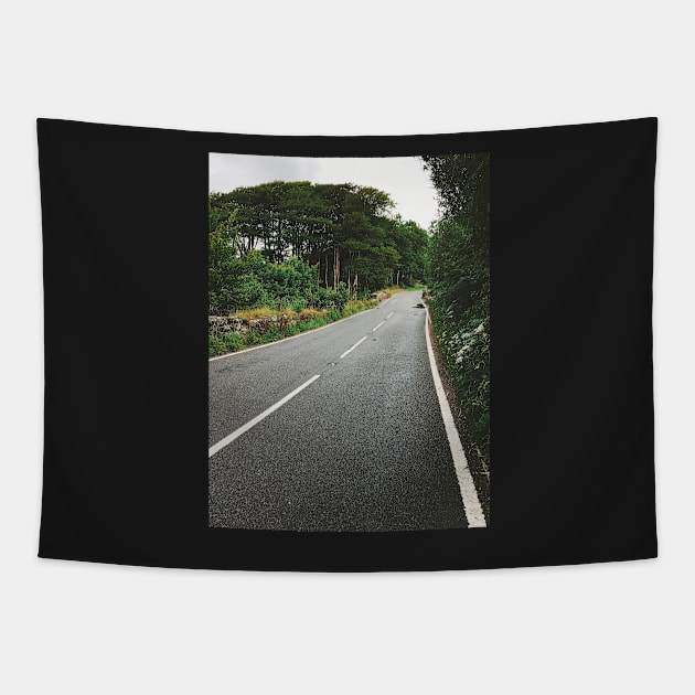 Dartmoor National Park - Cement Road on Rainy Day (Devon, England) Tapestry by visualspectrum