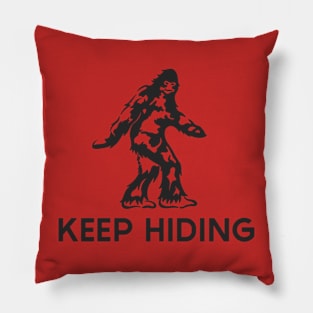 Keep Hiding in Dark Pillow