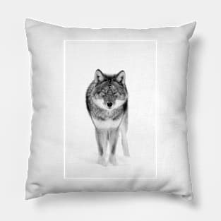 Coyote in Black and White Pillow