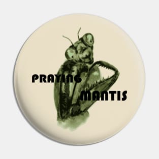 Cute praying mantis Pin