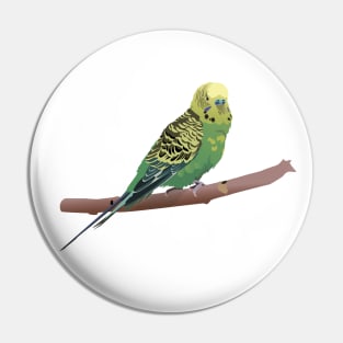 Budgerigar Parrot Pin