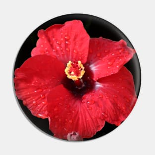 Red Hibiscus on Black Pin