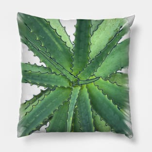 Faded Succulent Pillow