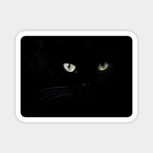 Black cat face and eyes Magnet