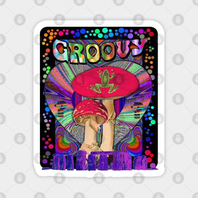 Psychedelic Groovy Magic Mushroom Frog Inner Dimension Trippy Hippy Colorful Tie Dye Version 2 Magnet by blueversion