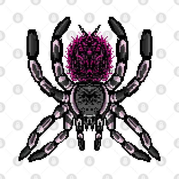Tarantula Pixel Art 2 by IgorAndMore