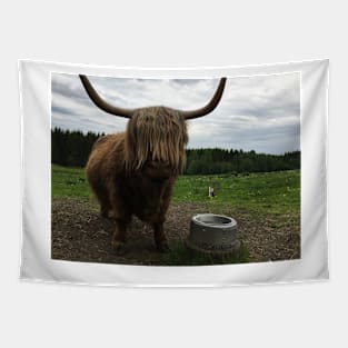 Scottish Highland Cattle Cow and Cat 2411 Tapestry