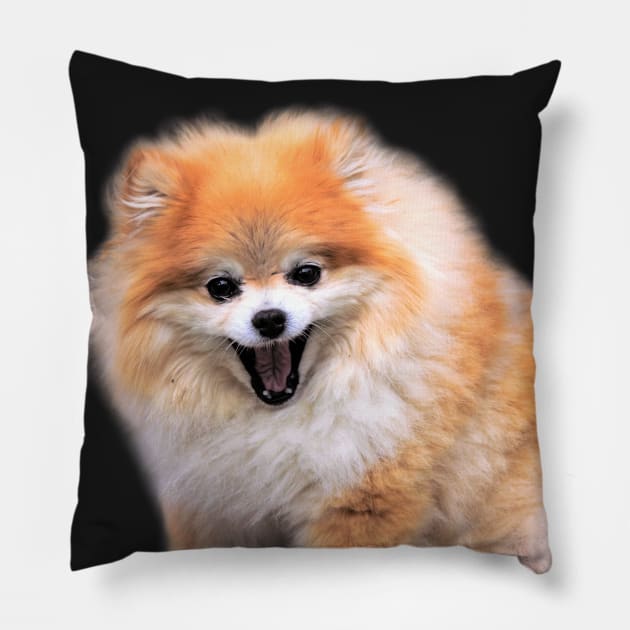 Cute Laughing Pomeranian Dog Pillow by walkswithnature