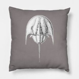 horseshoe crab extinct species- Tasmaniolimulus patersoni Pillow