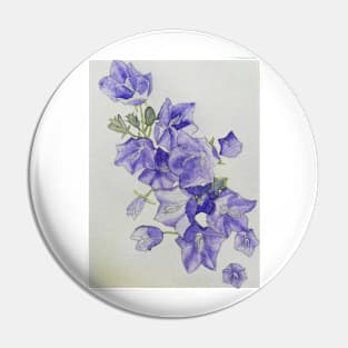 Harebells (campanula) watercolour painting Pin