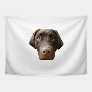 Labrador Chocolate Lab Puppy Dog Tapestry