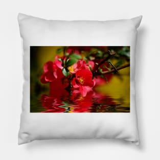 Red Passion Pillow