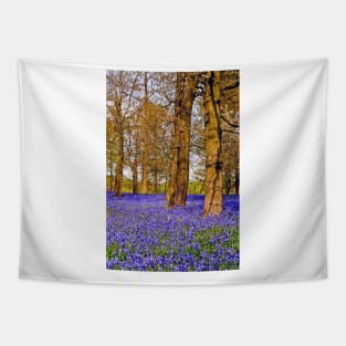 Bluebell Woods Greys Court England UK Tapestry