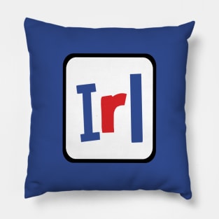 Frame In Real Life IRL Slang Pillow