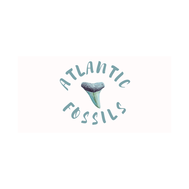 Light Blue Atlantic Fossils Shark Tooth White Print by AtlanticFossils