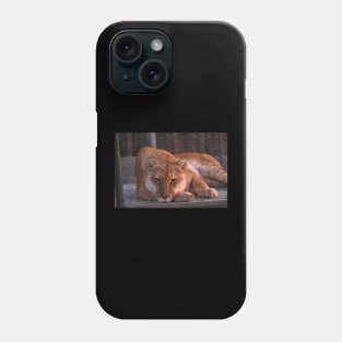 Liger at Dawn Phone Case