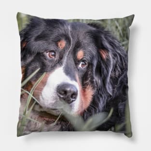 Bernie dog gift Pillow