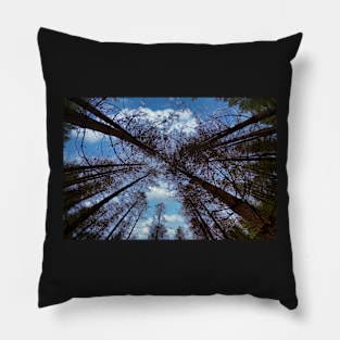 Wide angle fisheye photograph of trees Pillow