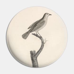 The Bicolor Warbler Pin