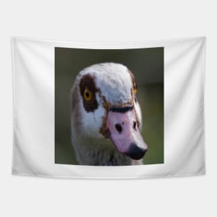 Egyptian Goose Tapestry