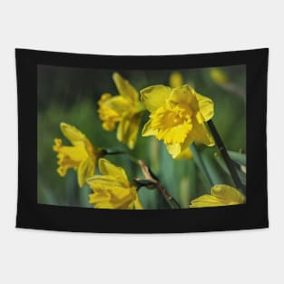 Dancing Daffodil Tapestry