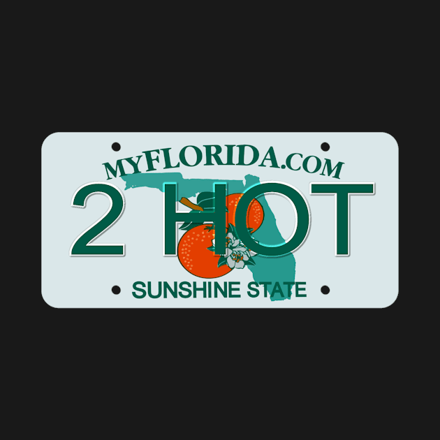 2 Hot Florida License Plate by Mel's Designs