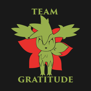 Team Gratitude (Sky Forme) T-Shirt