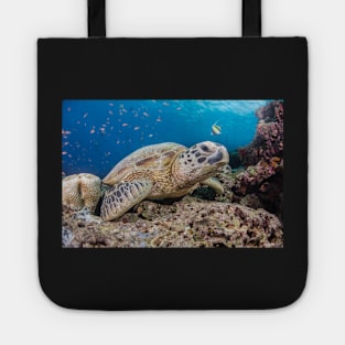 Turtle rest Tote