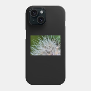 Water dew on Dandelion Phone Case