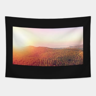 Aerial view of sunset over mountain jungle Tapestry