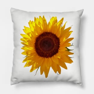 Sunflower Photo Pillow