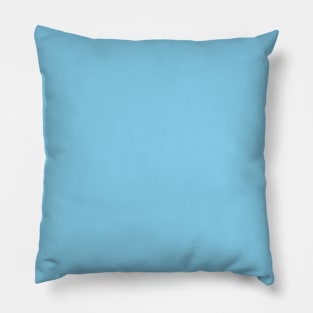 BLUE SKY COLLECTION Pillow