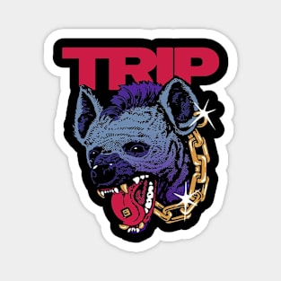 TRIP Magnet