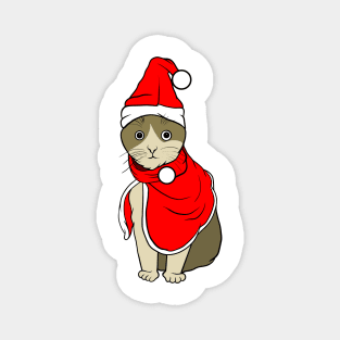 Santa Cat Magnet