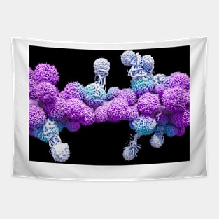 T cells attacking cancer cells (C025/6875) Tapestry