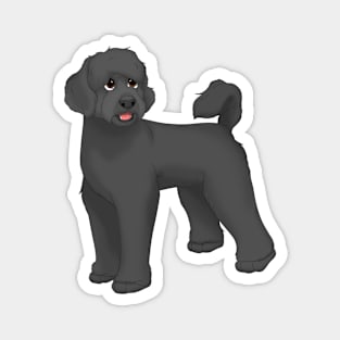 Black Portuguese Water Dog Magnet