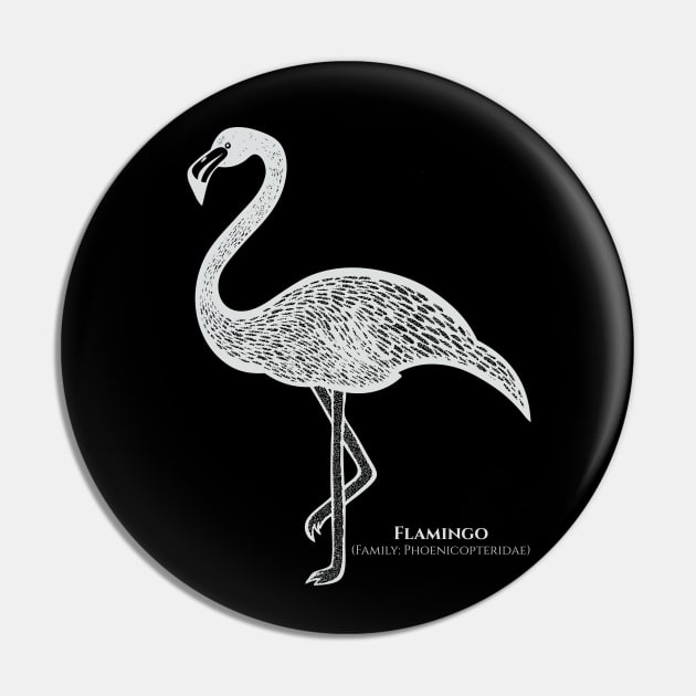 Flamingo with Common and Scientific Names - design for flamingo lovers Pin by Green Paladin