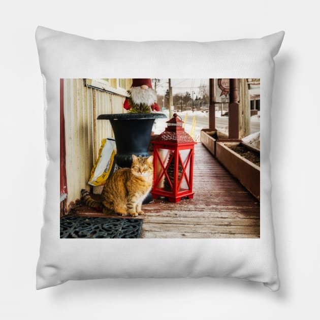 Country Store Cat 3 Pillow by Robert Alsop