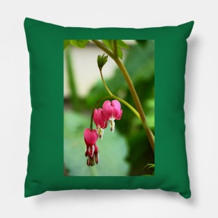 Bleeding Hearts Pillow