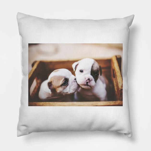The cutest puppy box Pillow by BrazoocaArt