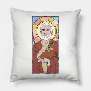 Gregg Popovich Stained Glass Pillow