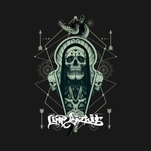 Limp bizkit skull metal T-Shirt