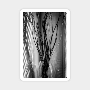 Black and White Bathroom Photography - Reeds in a Vase Magnet