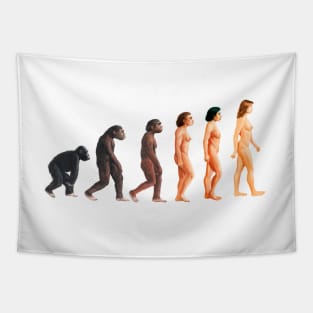 Stages in female human evolution (E436/0037) Tapestry