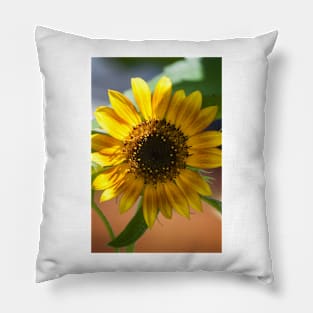 Sunflower Series XIII Pillow