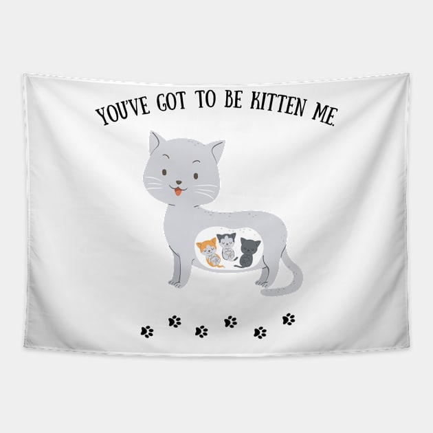 You've got to be kitten me Tapestry by Mission Bear